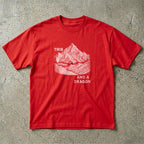 This And A Dragon T-Shirt